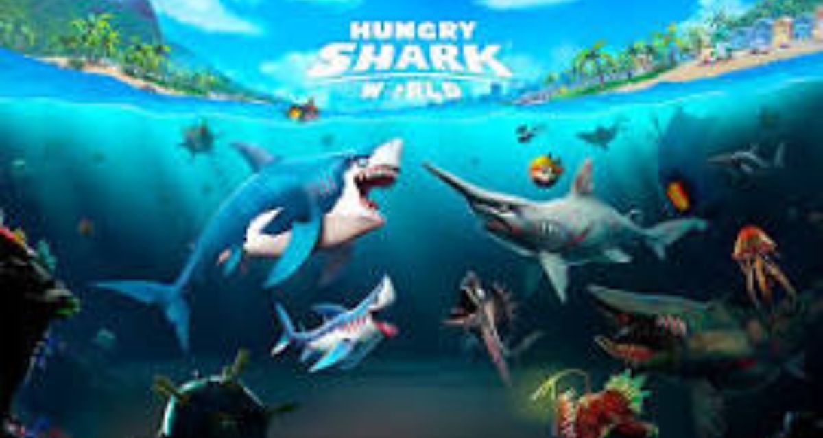 Hungry Shark
